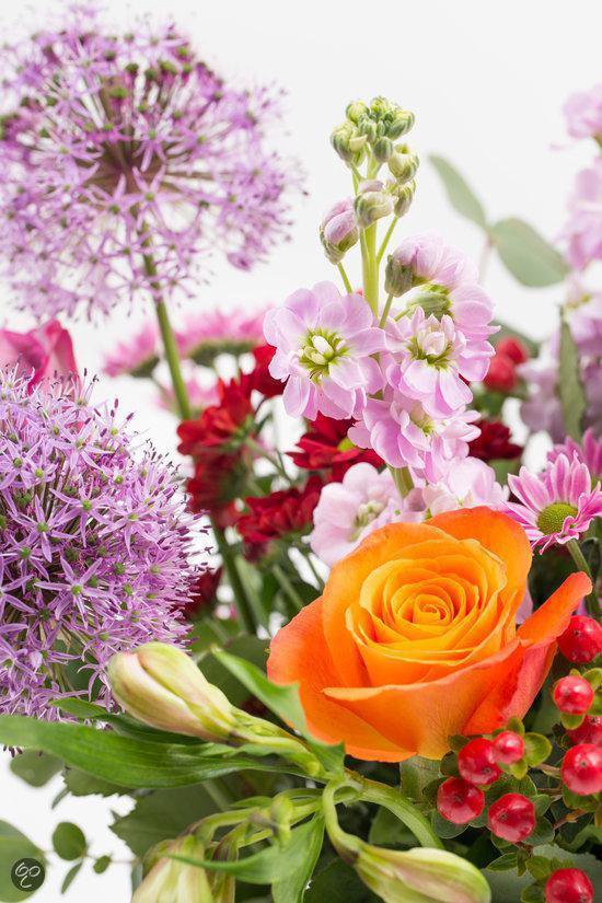 Klusjesman uitgebreid directory Boeket verse bloemen in mooie kleurcombinatie | bol.com