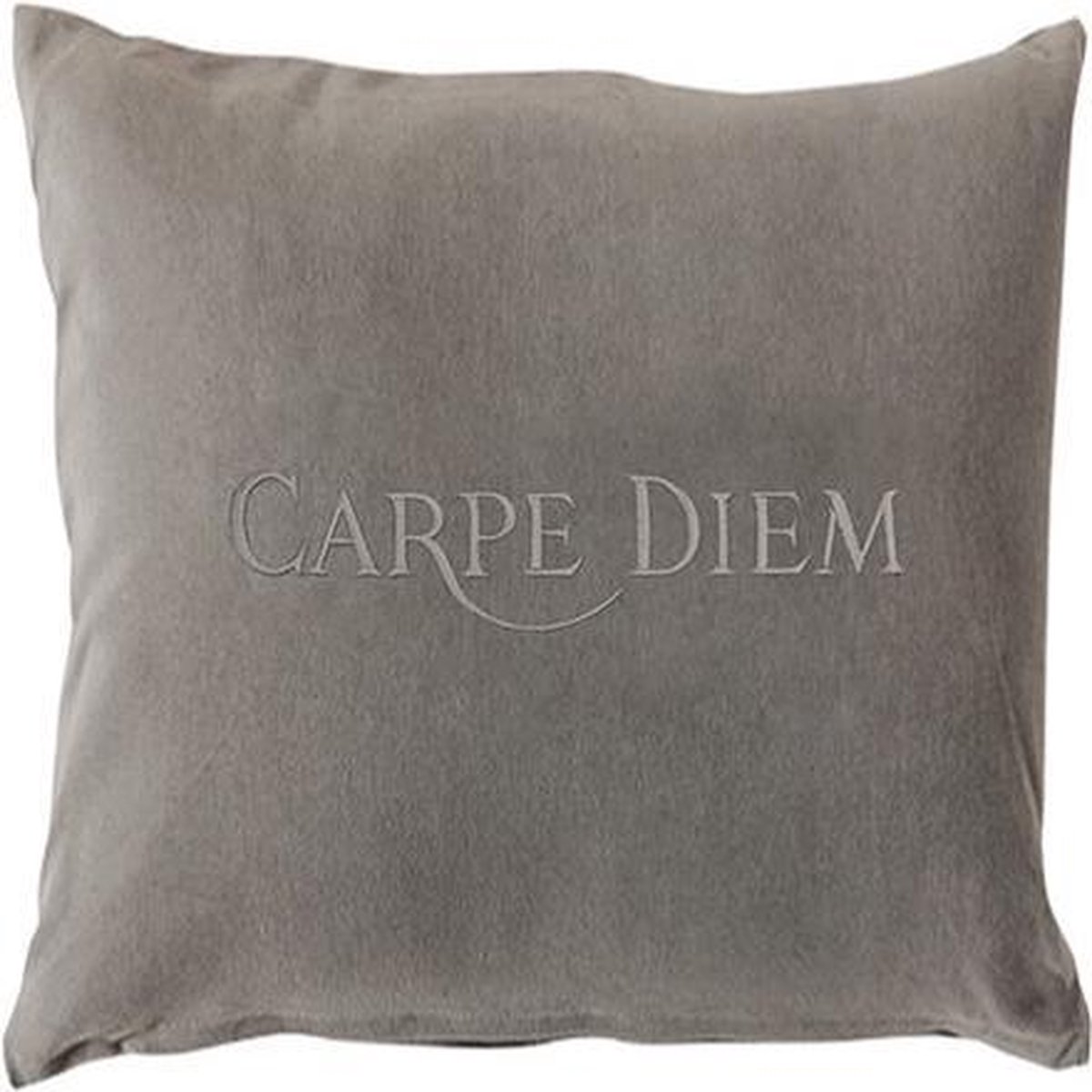 Aquanova Carpe Diem - Sierkussen - 45x45 cm - Grijs - Set van 2