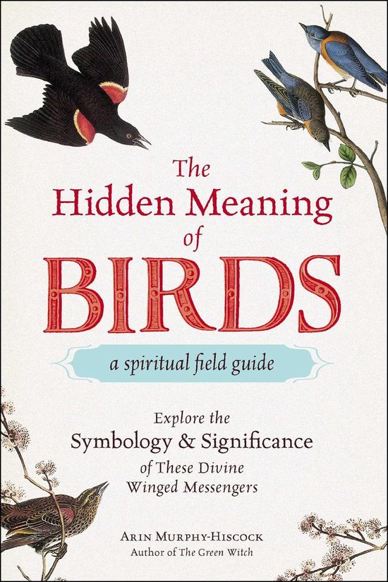 Couverture du livre 'The Hidden Meaning of Birds', illustrée de quatre oiseaux : un merle à ailes rouges, un rossignol, un oiseau bleu et un merle.
