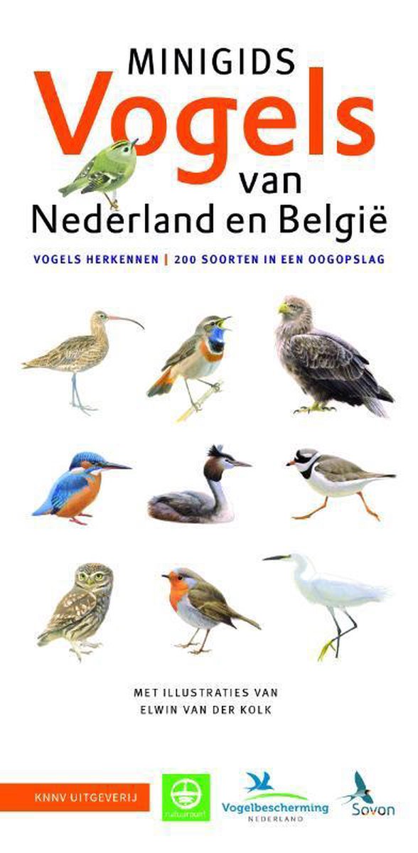 Minigids 1 -   Minigids Vogels van Nederland en België - Jip Louwe Kooijmans