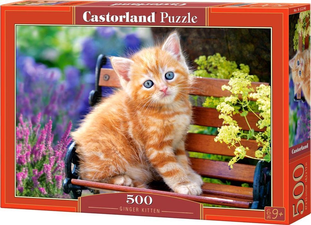Castorland Ginger Kitten – Puzzel – 500 stukjes – Satijnen afwerking – Perfecte pasvorm – Europese kwaliteit