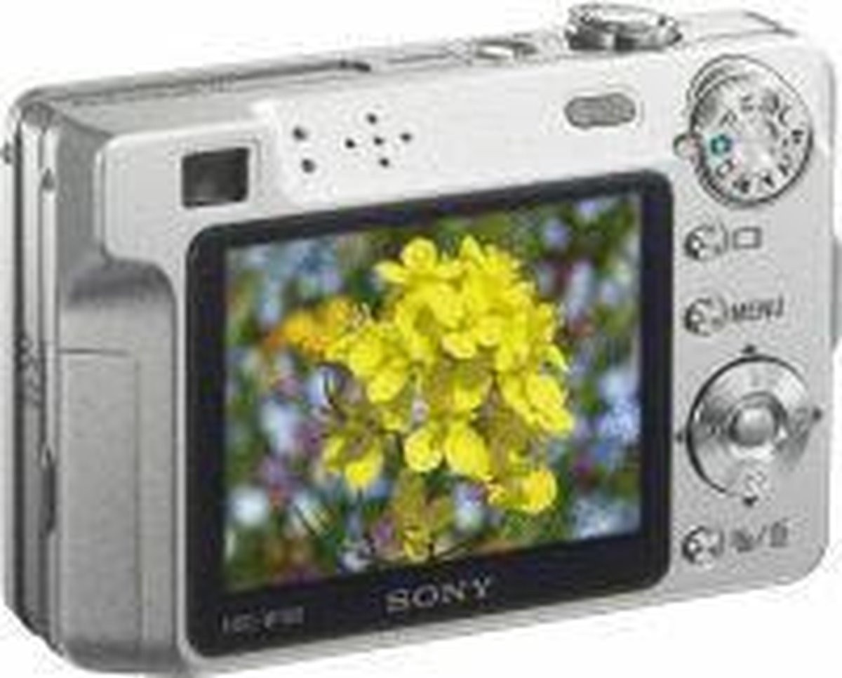 Sony Cybershot DSCW100 Zilver
