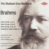 Trio Shaham Erez Wallfisch - Brahms (2 CD)