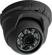 Dome Camera Analoog