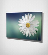 White Flower Canvas - 120 x 80 cm - Bloemen - Schilderij - Canvas - Slaapkamer - Wanddecoratie  - Slaapkamer - Foto op canvas