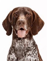 German Shorthaired Pointer Notebook