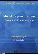 Model de plan business