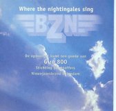 Where The Nightingales Sing