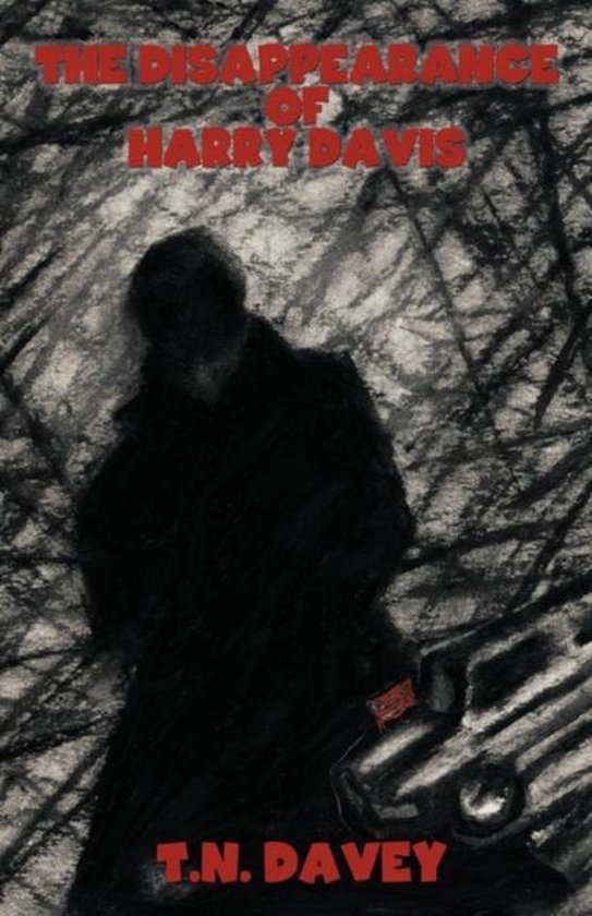 The Disappearance of Harry Davis - cover