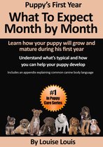 Puppy's First Year: What To Expect Month by Month