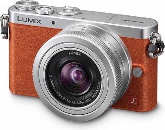 Panasonic LUMIX DMC-GM1 + 12-32mm - Systeemcamera - Oranje | bol.com
