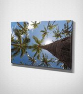 Hawaii Palm Trees Canvas - 60 x 40 cm - Landschap - Schilderij - Canvas - Slaapkamer - Wanddecoratie  - Slaapkamer - Foto op canvas