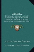 Alfalfa