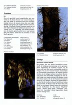 Encyclopedie - Tuinplanten encyclopedie