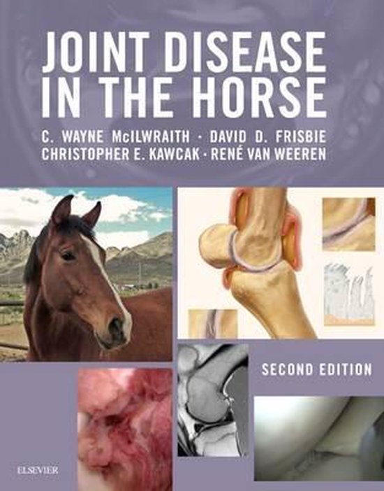 Joint Disease In The Horse - cover