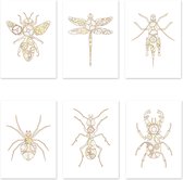 Kaartenset Insecta