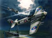 Poster Typhoon