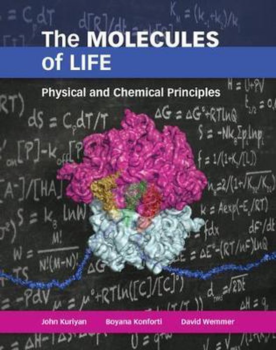 Molecules Of Life