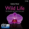 Wild Life. Die Rückkehr der Erotik in die Liebe. 8 CDs + 1 MP3-CD