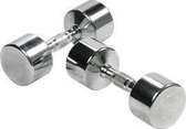 Chrome Dumbells RS Sports - 2 x 10 kg - Zilver