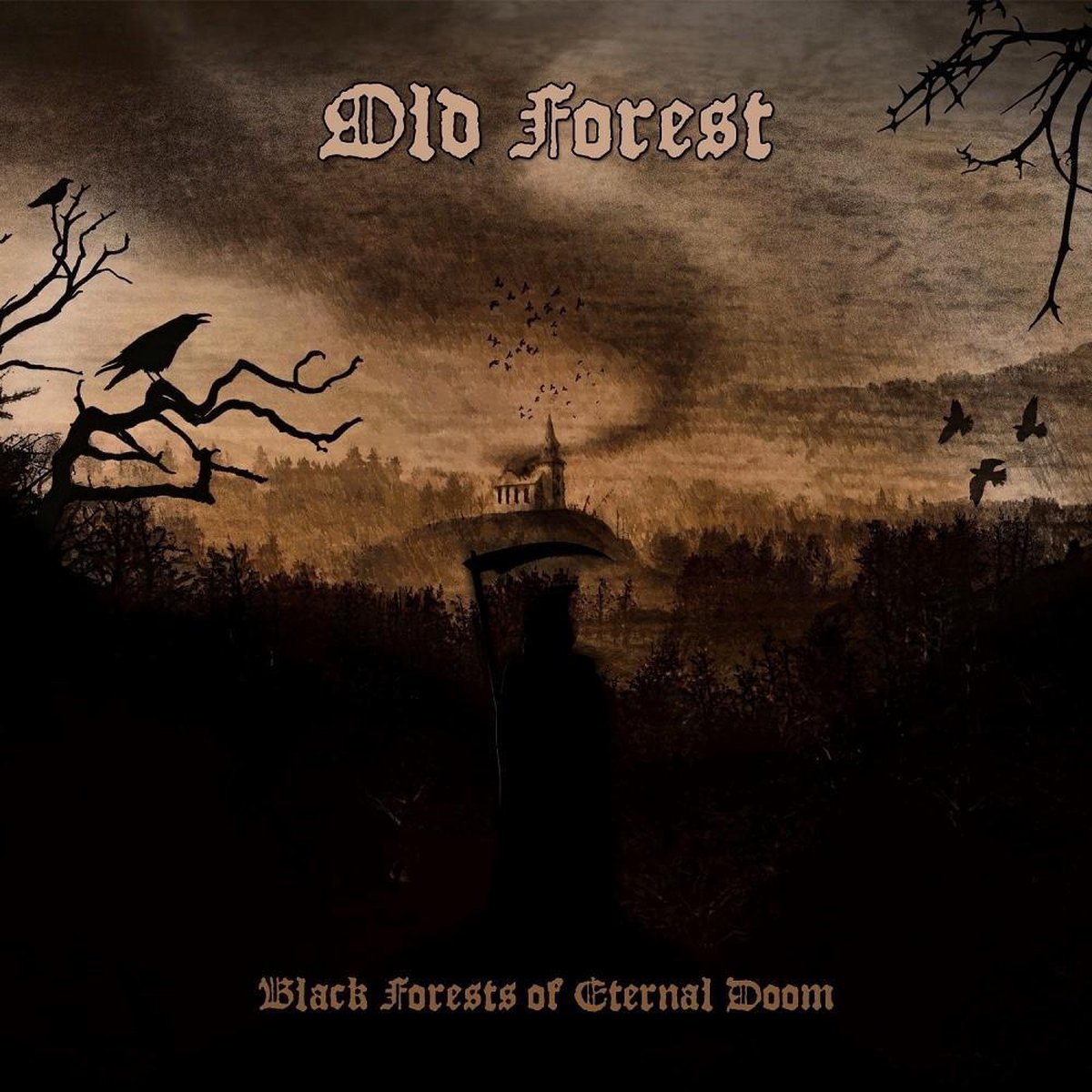 Old Forest - Black Forests Of..