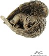 Urn - Hond - Overleden - Bronze  - 23x15.5 cm - 250cc
