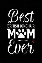 Best British Longhair Mom Ever