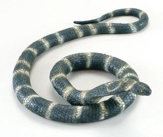 Extreem belangrijk Overtreden Daarom Buigbare cobra slang van rubber | bol.com