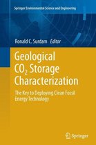 Geological Co2 Storage Characterization