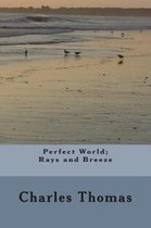 Perfect World