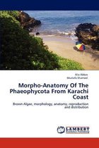 Morpho-Anatomy Of The Phaeophycota From Karachi Coast