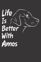 Life Is Better With Amos