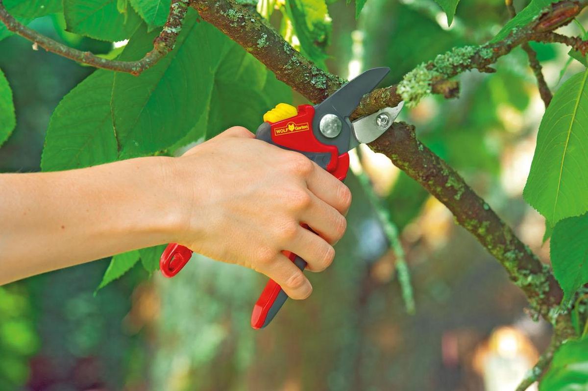 Wolf-Garten Wolf Garten RS4000 Sécateur à enclume Premium Plus