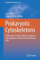 Subcellular Biochemistry 84 - Prokaryotic Cytoskeletons