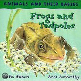 Frogs And Tadpoles
