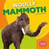 Bumba Books (R) -- Dinosaurs and Prehistoric Beasts- Woolly Mammoth
