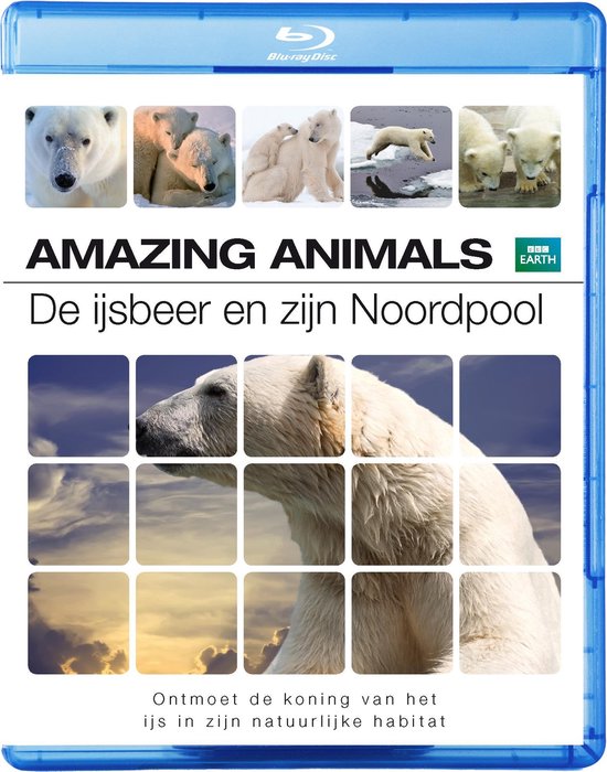 Cover van de film 'Amazing Animals - De Ijsbeer & Zijn Noordpool'