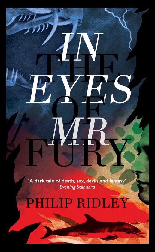 In the Eyes of Mr Fury - cover