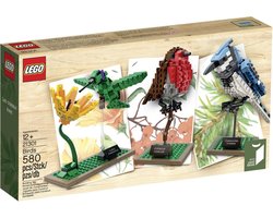 LEGO Ideas Birds, Bouwpakket, 12 jaar, 580 stuk(s)