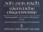 Sämtliche Orgelwerke 6 / Complete Organ Works