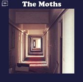 Moths