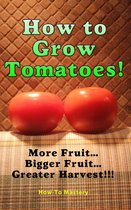 How to Mastery - How to Grow Tomatoes