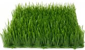 Europalms kunstplant gras grass tile, shade, 25x25cm