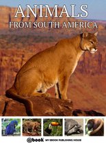 Animals from South America