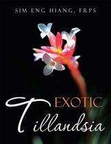 Exotic Tillandsia