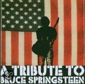 Light of Day: A Tribute to Bruce Springsteen