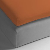 HnL Living - Hoeslaken - Topper - Katoen Perkal - 160 x 200 cm - Terra