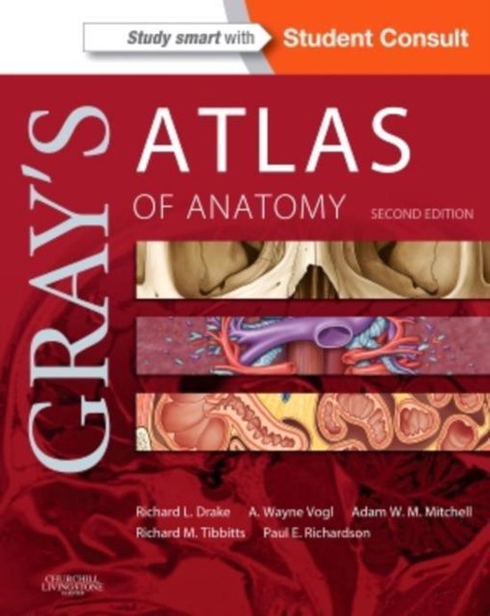 Grays Atlas Of Anatomy 2E - cover