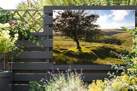 Arbre d'aubépine solitaire dans le parc national d'Exmoor en Angleterre Poster de jardin 180x120 cm - Toile de jardin / Peintures extérieur / Peintures d'extérieur (décoration de jardin) XXL / Groot format!