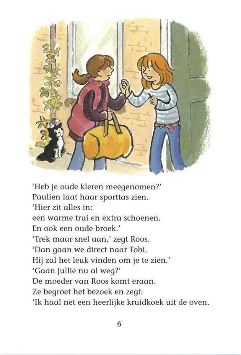 De Roskam Pony Met Streken, Vivian den Hollander | 9789047507918 | Boeken |  bol.com